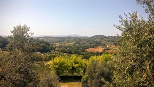 Agriturismo Marinella Amelia Exterior photo